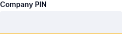 screenshot of company PIN form field